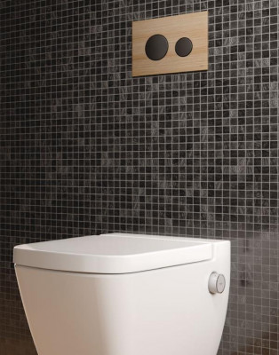 TECEloop Лицевая панель для панели смыва унитаза, цвет дуб натуральное дерево (9240612)