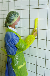 Щётка ручная узкая с короткой ручкой, 300 мм, супер жёсткая