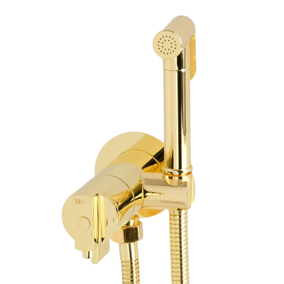 Migliore Fortis 31558 гигиенический душ с термостатом, золото
