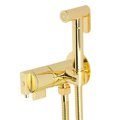 Migliore Fortis 31558 гигиенический душ с термостатом, золото