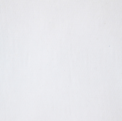 Полотенца в рул. SCOTT XL 1-сл, 354м, 1/6 Kimberly-Clark 6687