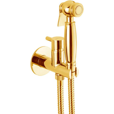 Гигиенический душ со смесителем Webert Elio EL870302010 золото