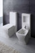 CERAMICA ALA CRAZY 25BD/CM биде 35 см х 61 см с задней цистерной, белое