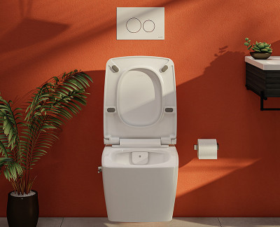 Унитаз биде Vitra Metropole 7672B003-1684 подвесной без сиденья