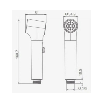 Лейка для гигиенического душа Raglo R460.05.03, золотой сатин