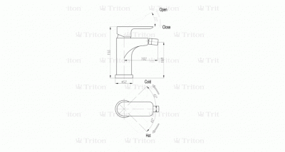 Смеситель 19506W-D125 (Triton Щ0000002381) для биде, хром