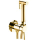 Гигиенический душ со смесителем Webert Sax Evolution SE870303010 золото  (SE870303010)