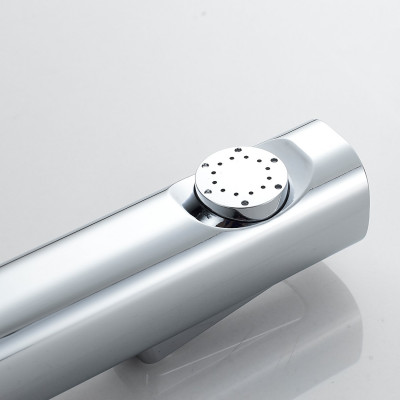 Гигиенический душ со смесителем Raffine F0599-1, хром