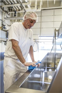 Щётка для мытья с короткой ручкой, 270 мм, жёсткий ворс (аналог 4189х)