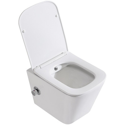 Унитаз биде BelBagno Due BB3103CHR-BS/SC подвесной с сиденьем микролифт
