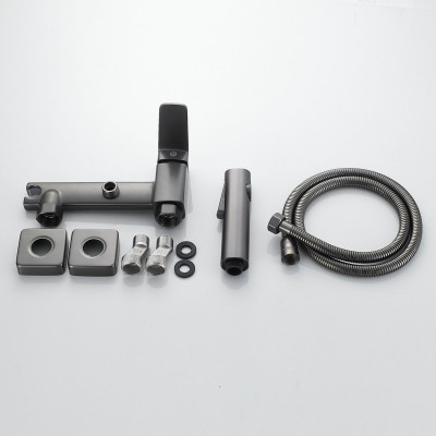 Гигиенический душ со смесителем Raffine F0599T-1, оружейная сталь