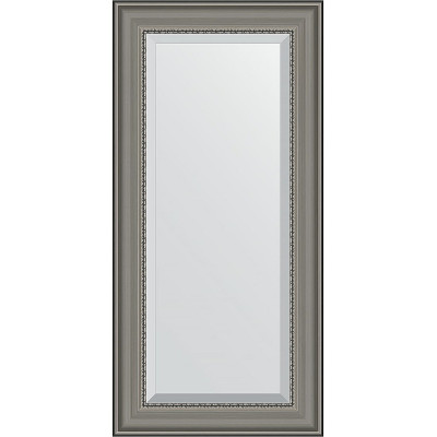 Зеркало настенное Evoform Exclusive 116х56 BY 1245 с фацетом в багетной раме Хамелеон 88 мм