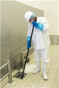 Ёрш сантехнический, 275 мм, жёсткий ворс