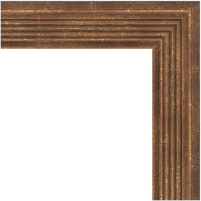 Зеркало настенное Evoform Definite 153х73 BY 1114 в багетной раме Сухой тростник 51 мм