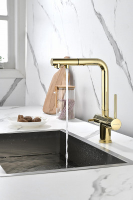 Кухонный смеситель Paulmark Serpentine Se213222-G золото с выдвижным изливом