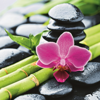 GFmark шторка для ванной ФОТОПЕЧАТЬ, 180 см x 200 см