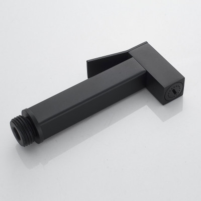 Гигиенический душ со смесителем Raffine F237H, черный