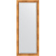 Зеркало напольное Evoform Exclusive Floor 201х81 BY 6117 с фацетом в багетной раме Римское золото 88 мм  (BY 6117)