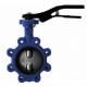 Затвор дисковый поворотный с проушинами DN250 R59FL R59FLY025 Giacomini (R59FLY025)