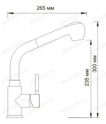 WasserKRAFT Main 4166 cмеситель для кухни
