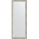 Зеркало напольное Evoform Exclusive Floor 201х81 BY 6118 с фацетом в багетной раме Римское серебро 88 мм  (BY 6118)