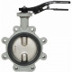 Затвор дисковый поворотный с проушинами DN65 R59FL R59FLX006 Giacomini  (R59FLX006)