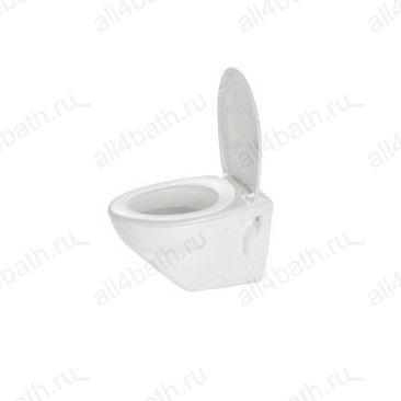 DURAVIT Duraplus 0196090000 унитаз подвесной Schwarzwald 36см х 53,5см