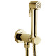 Гигиенический душ со смесителем Bossini Paloma Brass E37005B.021 золото  (E37005B.021)