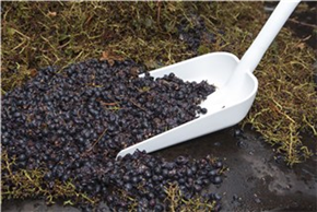 Эргономичная лопата, 340 x 270 x 75 мм., 1110 мм