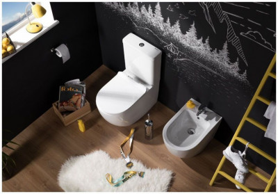 Сливной бачок Aquanet Cetus-C2 BL-102N-TPT