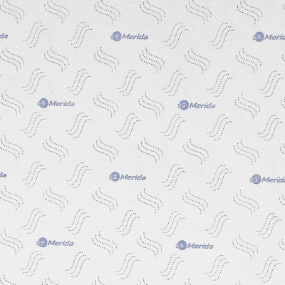 Бумажные полотенца в рулонах 2-слойные белые, с синим тиснение "ТОП ПРИНТ АВТОМАТИК МАКСИ" (6х200м.) MERIDA BP4404