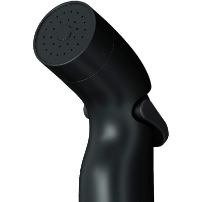 Гигиенический душ AM.PM F0202022 черный матовый настенный без смесителя