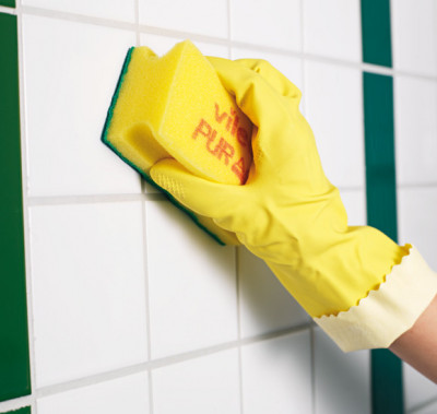 Губка Профи с системой ПурАктив 6.3x14 см