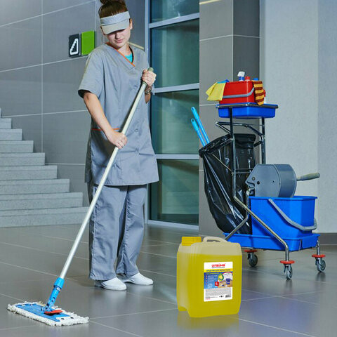 Средство для мытья пола 5 кг, ЛАЙМА PROFESSIONAL концентрат, "Лимон", 601606