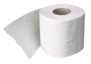 Бытовая туалетная бумага 2-слойная белая (48х22м.)