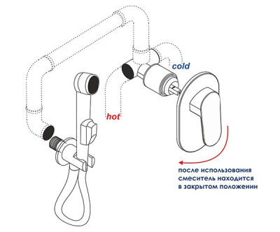 WasserKRAFT Sauer A216 гигиеническая лейка с фиксатором, глянцевое золото