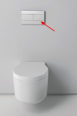 JACOB DELAFON E4316-00 клавиша для смыва двойная, белая