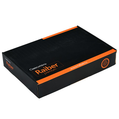 Кухонный смеситель Raiber Graceful RPG-013 золото матовое