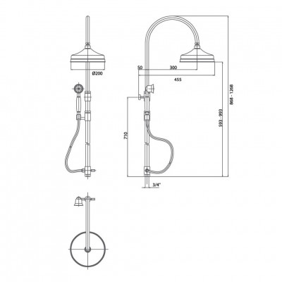 CAPRIGO Parts 99-064-oro душевой гарнитур, золото