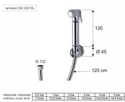 Набор Remer RR 332 332 OL (лейка, шланг), хром