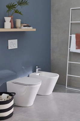 Напольное биде Jacob Delafon Rodin+ EBJ0002-00, белый