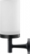 Стакан для ванной Duravit Starck 1 0099314600 черный  (0099314600)