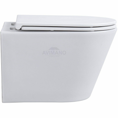 Унитаз Avimano Intuition 1001060 подвесной с микролифтом удлиненный, белый