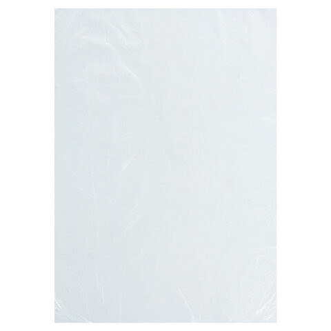 Пакеты фасовочные ДЛЯ ЗАМОРОЗКИ 24х37 см, КОМПЛЕКТ 50 шт., LAIMA, 606709