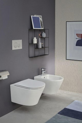 Подвесное биде Jacob Delafon Rodin+ EMJ0002-00, белый