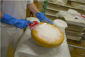 Щётка для мытья с короткой ручкой, 270 мм, мягкий/расщеплённый ворс