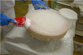 Щётка для мытья с короткой ручкой, 270 мм, мягкий/расщеплённый ворс