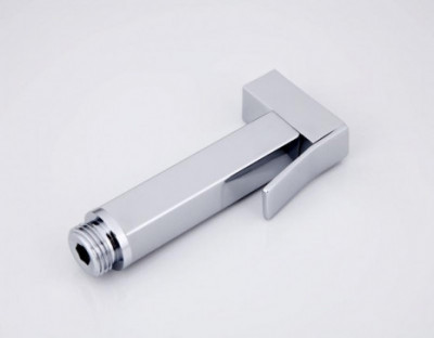 Гигиеническая лейка Frap латунь, хром (F21-1)