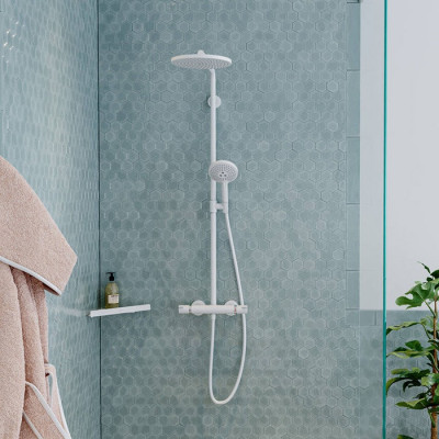 Корзинка для душа Hansgrohe AddStoris 41741700 (белый матовый)