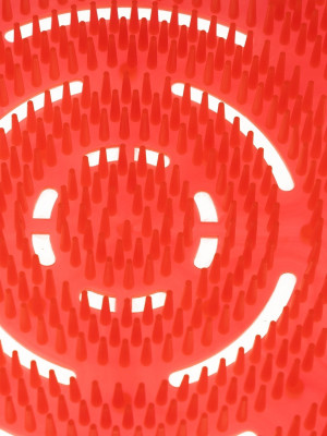 Сеточка для писсуара Discover Exotic (2шт/уп)